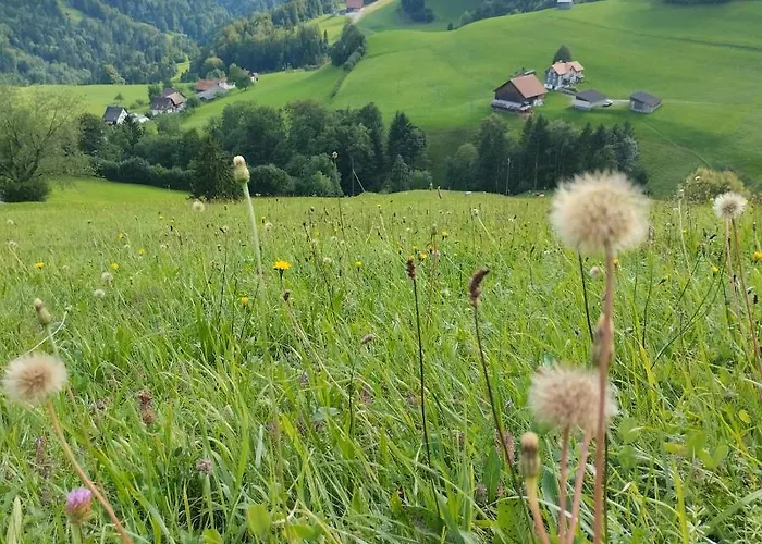 Dom Wiejski Artur منزل للإقامة