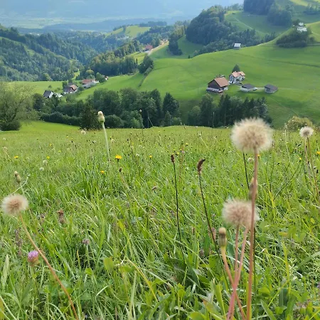 Dom Wiejski Artur Kwatera prywatna